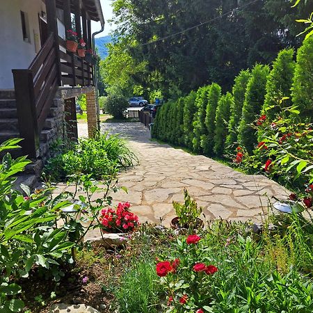 بليتفيكا سيلو B&B Villa Plitvica المظهر الخارجي الصورة