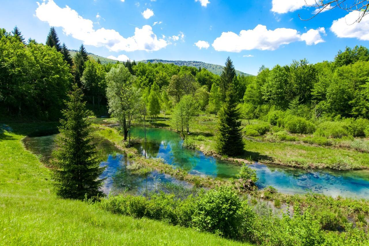 بليتفيكا سيلو B&B Villa Plitvica المظهر الخارجي الصورة
