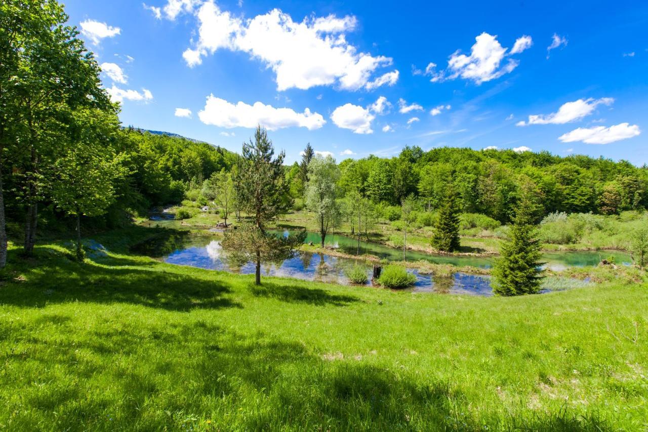 بليتفيكا سيلو B&B Villa Plitvica المظهر الخارجي الصورة